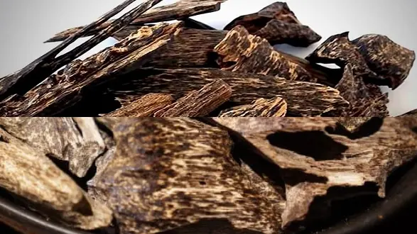 Nguyên liệu nhang buddhaking - Trầm Hương